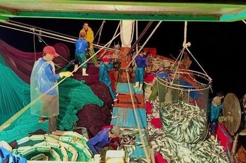 Tuyên dương người trúng 250 tấn cá