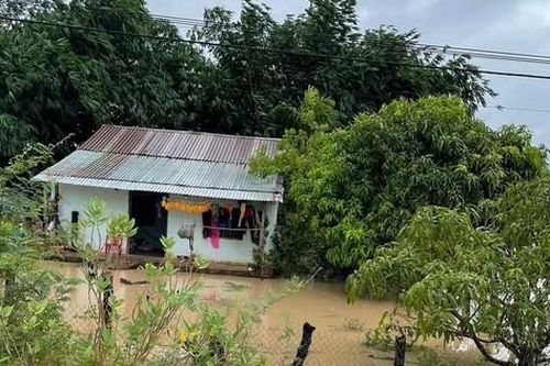 Mưa lớn gây ngập 50 căn nhà và hơn 1.000ha ở Đắk Lắk