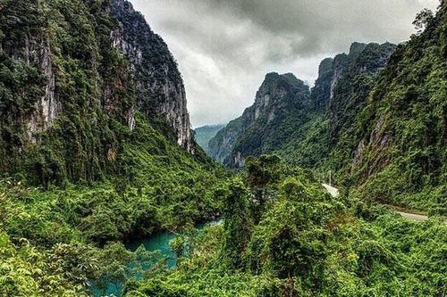Quảng Bình: Đặt bẫy ảnh xác minh thông tin xuất hiện hổ tại Phong Nha - Kẻ Bàng