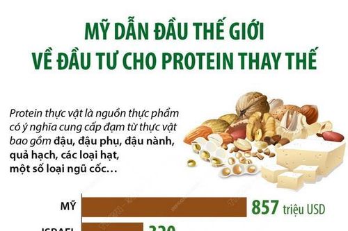 Mỹ dẫn đầu thế giới về đầu tư cho protein thay thế