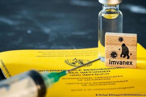 Châu Âu cân nhắc tiêm tiết kiệm vaccine phòng bệnh đậu mùa khỉ