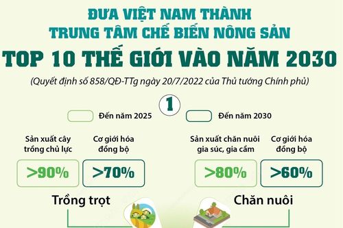Đưa Việt Nam thành trung tâm chế biến nông sản top 10 thế giới vào năm 2030 - Phần 1
