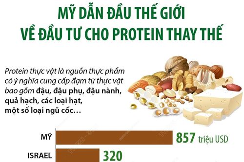 Mỹ dẫn đầu thế giới về đầu tư cho protein thay thế