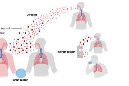 Trên 65.000 người nhiễm chủng các virus giống SARS-CoV ở Đông Nam Á mỗi năm