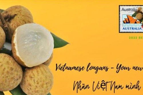 Gần 10 tấn nhãn Việt đổ bộ thị trường Úc