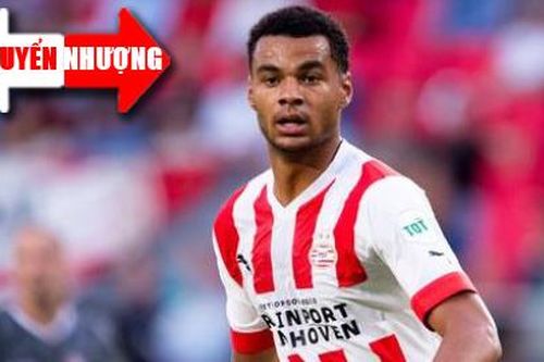 Chuyển nhượng 10/8: Gakpo sẵn sàng chuyển tới Man United