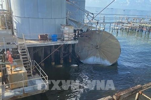 Sự cố tràn dầu tại Mỹ không gây tác động đến môi trường hoang dã