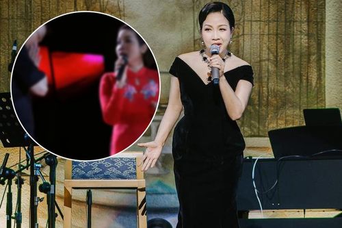 Đang hát, Diva Mỹ Linh bất ngờ chứng kiến một khán giả lên tận sân khấu chắp tay trước mặt mình?
