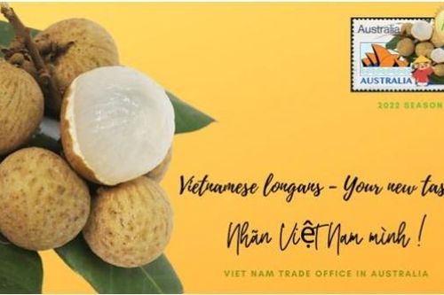 Nhãn Việt Nam đổ bộ thị trường Australia