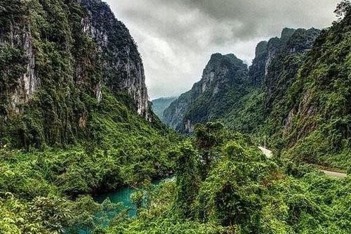 Đặt bẫy ảnh để xác minh thực hư hổ xuất hiện ở Phong Nha - Kẻ Bàng