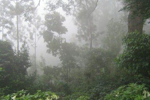 Vụ án trên đồi keo và hành trình lật bộ mặt tàn độc của gã thanh niên nhẫn tâm sát hại người phụ nữ cùng xóm