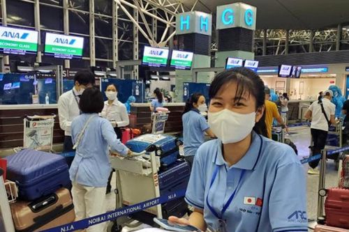Hơn 81.000 lao động Việt Nam đi làm việc ở nước ngoài