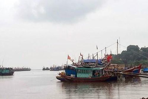 Chưa có ghi nhận thiệt hại về tàu thuyền trên biển do bão số 2