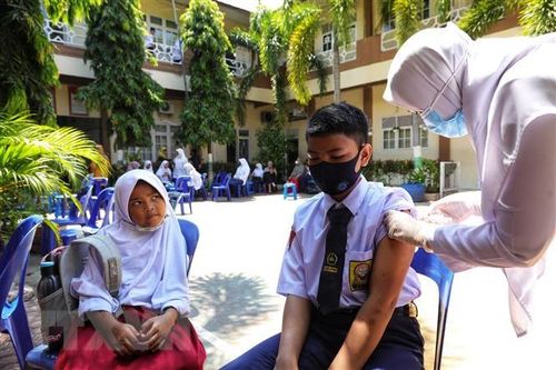 98,5% dân số Indonesia đã có kháng thể phòng chống COVID-19