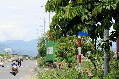 Biển báo giao thông bị che khuất