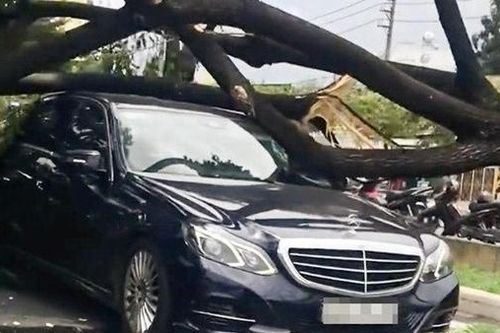 Giông lốc, hàng loạt cây me tây ngã đè 3 xe ô tô