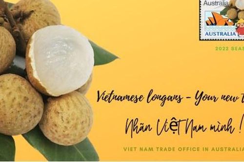 Hàng chục tấn nhãn đổ bộ thị trường Australia