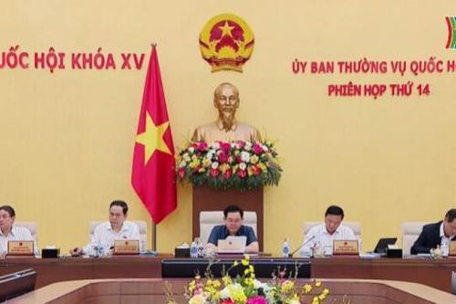 Hoàn thiện thể chế, ổn định môi trường pháp lý