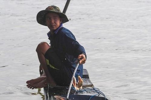 Cá vừa phóng sinh đã bị chích điện vớt lên thuyền