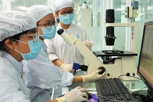 Đảm bảo thống nhất, đồng bộ quy định kéo dài thời gian công tác với viên chức