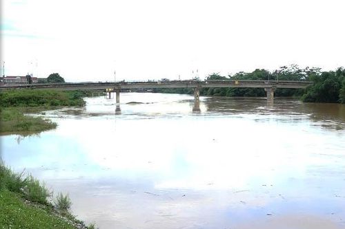 Báo động lũ trên sông Bưởi