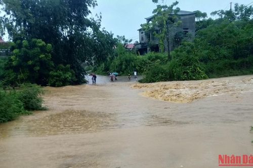 Nhiều địa phương ở Phú Thọ bị thiệt hại do mưa bão