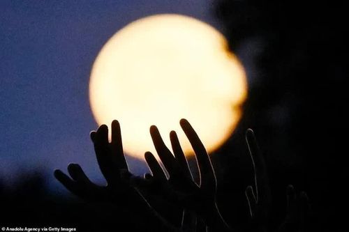 Đêm nay, siêu trăng 'cá tầm' tỏa sáng khắp trời Việt Nam: Làm sao ngắm?