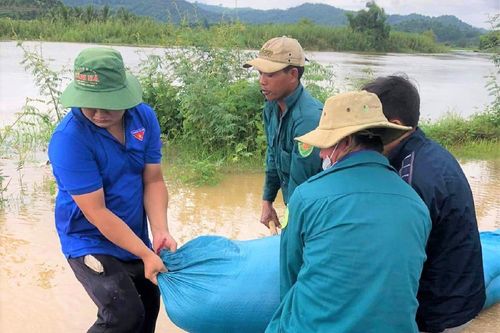 Hàng nghìn héc-ta lúa chìm trong biển nước, người dân bì bõm đắp đê ngăn lũ