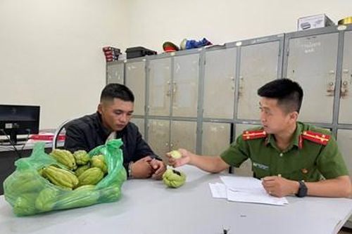 Người đàn ông có thủ đoạn giấu ma túy cực 'độc' vẫn bị phát hiện