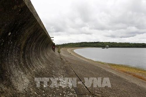Nông dân Anh đối mặt với khó khăn do thời tiết khô hạn