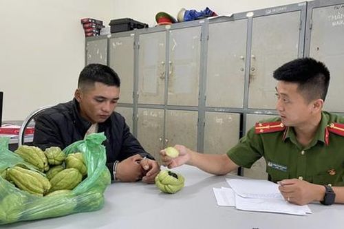 Thủ đoạn giấu ma túy tinh vi của con trai trùm ma túy Lóng Luông