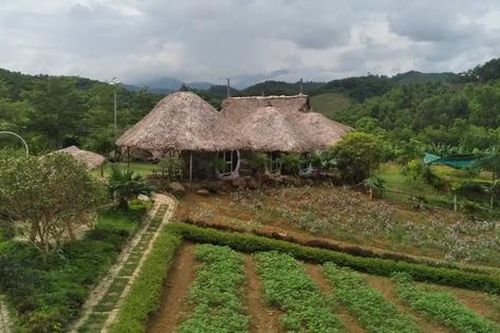 Thanh Hóa: Dừng mọi hoạt động xây dựng, kinh doanh tại Nông trại Golden Cow