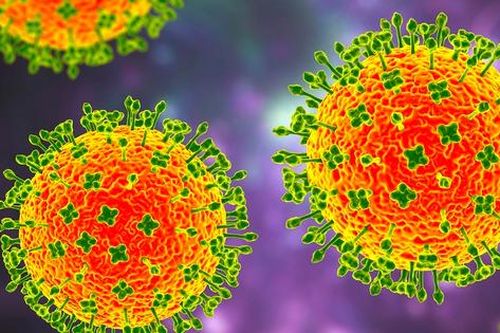 Những điều các nhà khoa học biết về virus Langya lây lan từ chuột chù ở Trung Quốc