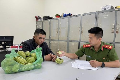 Sự thật bất ngờ trong những quả su su