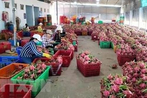 Xây dựng trung tâm dữ liệu phân tích, dự báo thị trường nông sản