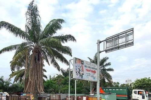 Bô rác trước cổng khu du lịch