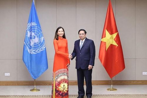 Liên hợp quốc sẵn sàng hỗ trợ Việt Nam ứng phó với các thách thức mới