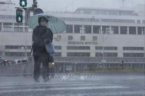 Nhật Bản: Bão Meari đổ bộ đảo chính Honshu gây mưa lớn