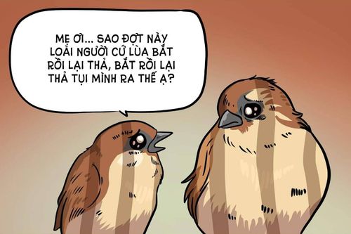 Còn lại gì sau mỗi mùa Vu Lan?