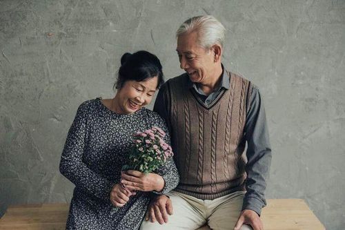 Chở củi đi đâu