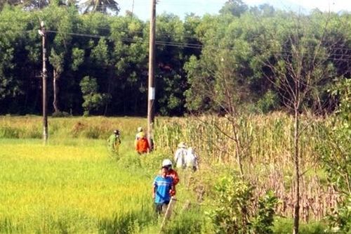 Phát hiện thi thể nam giới bên trụ điện giữa đồng