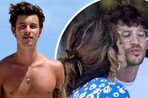Camila Cabello vừa công khai bạn trai mới, Shawn Mendes cài ngay ứng dụng hẹn hò