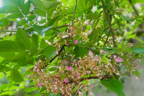 Trời đã sang mùa…