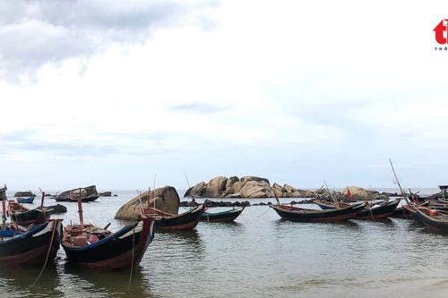 Ngư dân Kỳ Xuân trúng mùa cá mờm cơm