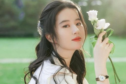 Bị chê làm màu vì điều động 500 nhân viên bảo vệ, Lưu Diệc Phi lập tức được fan lên tiếng thanh minh