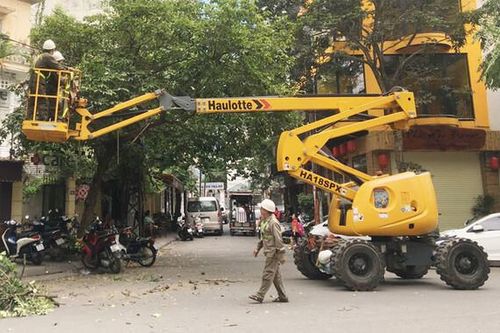 Hà Nội: Hơn 70 nghìn cây xanh được cắt tỉa phòng ngừa gãy đổ do mưa bão