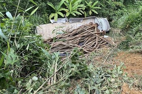 Xe tải lao xuống vực, tài xế và phụ xe thoát chết trong gang tấc