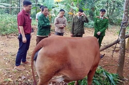 Dòng họ 'Quan Be' tự quản an ninh trật tự