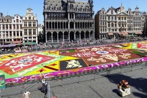 Rực rỡ thảm hoa khổng lồ ở Brussels, Bỉ