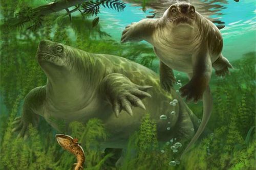 Phát hiện quái vật 'lai' hà mã, khủng long, rùa... từ lục địa đã mất
